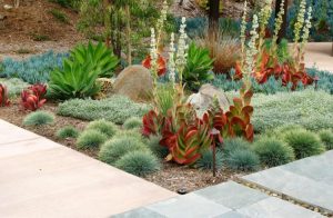 Get creative by adding unique decorative accents and water features to your desert landscape design.